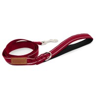 Neopren Köpek Tasma