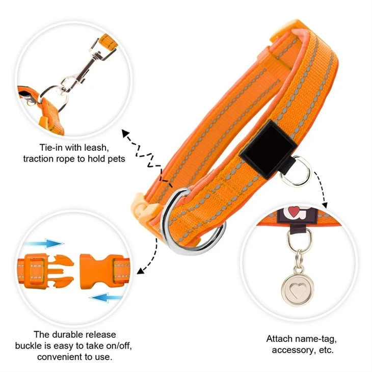Orange Collar