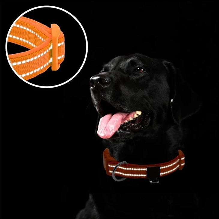 Orange Collar