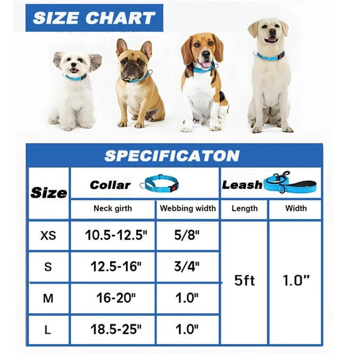 Rope Lead And Collar