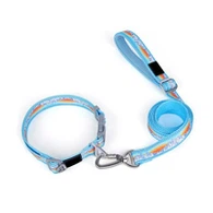 Köpek Tasması ve Tasma Seti Neopren