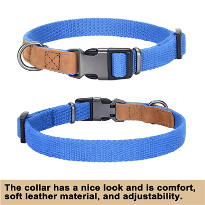 Yüksek Yaşam Köpek Tasmaları