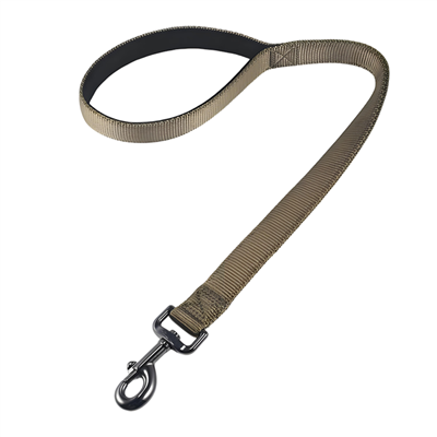 Modern köpek tasması