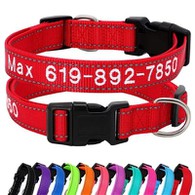 Kişiye Özel İşlemeli Köpek Tasması