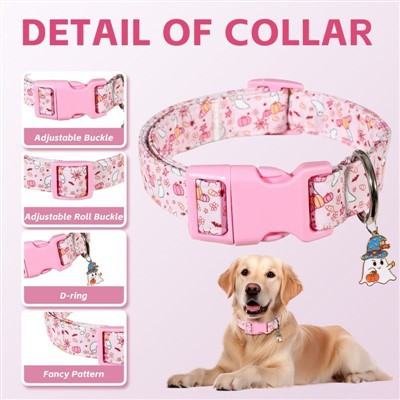 Premium Adjustable Dog Collar Premium Adjustable Dog Collar