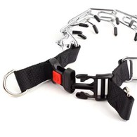 Uçlu Köpek Tasması