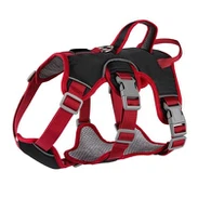 Altı-Noktalı Köpek Koşum Takımı