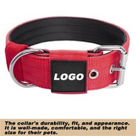 Geniş Kalın Köpek Tasmaları